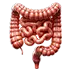 Colon-and-Rectal-Billing-Services